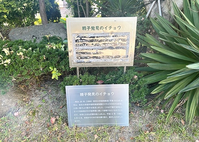 ステンレス製の説明板